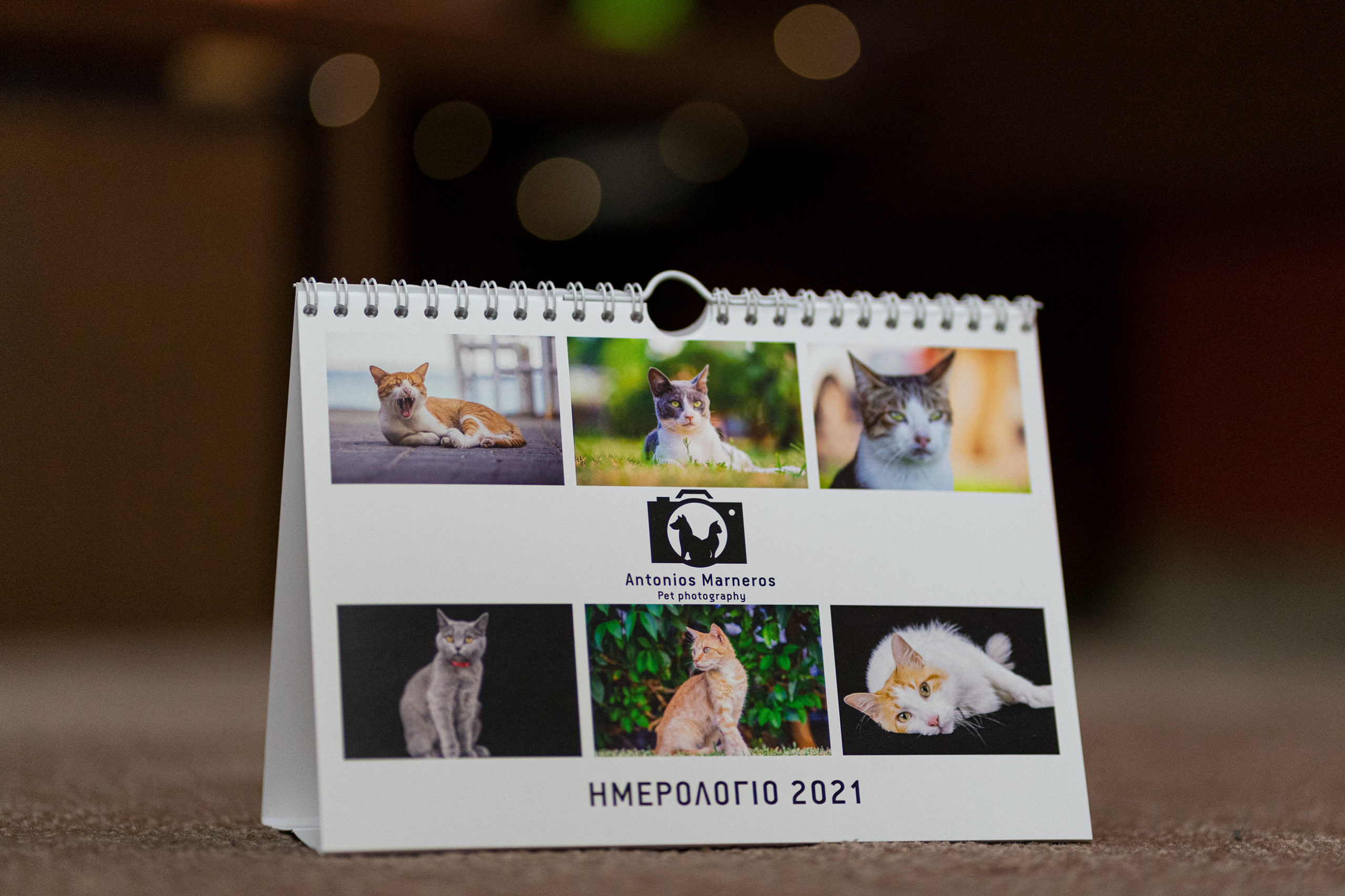 Petphotographygr cat calendar 2021